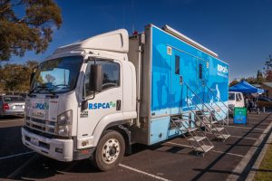 First Healthy Pet Day in Cranbourne a success