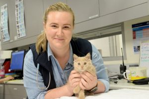 On the road to keeping pets and families together
