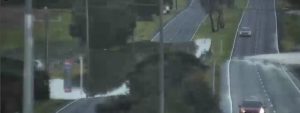 ‘Move to higher ground’: Watch and Act alert for Dandenong Creek