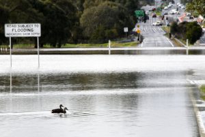 Dandenong Creek flood threat eased