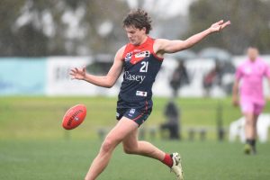 Feverish Footscray feast on Demons