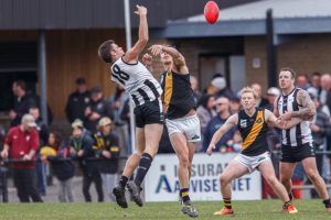 Magpies and Tigers return for semi-final showdown