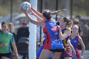 Lions tamed as Magpies fall to Rovers