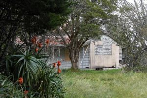 What’s On in Casey
