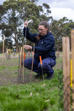 Carbon sink failure