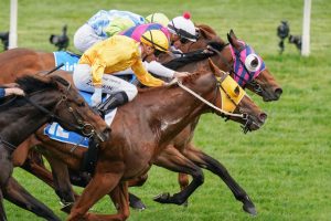 Quality field chases The Meteorite