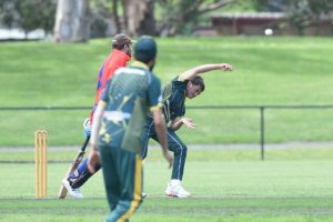 Maximum points all in a day’s work as Gators destroy Doves