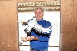A lifelong fascination with pigeons