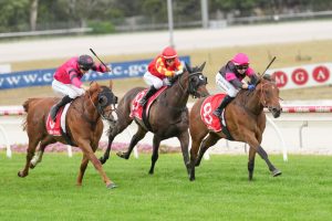 Island of dreams for Gilligan after home win at Cranbourne