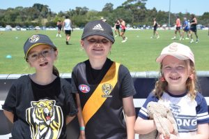 Tiger army pounces on Beaconsfield
