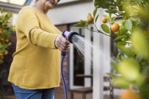 Time to check your recycled water connection
