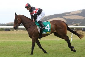 ‘Whirlwind’ month of Picnic racing continues at Woolamai