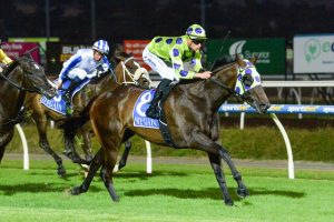 Eurell set to unleash his Untapped potential at Pakenham