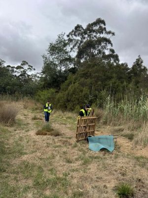 Successful Clean Up Australia Day