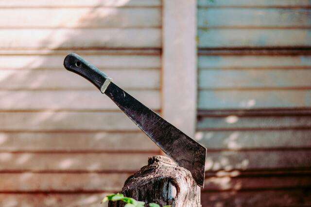 machete_465418_01.jpg