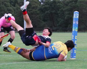 Electric Eels slide to the top