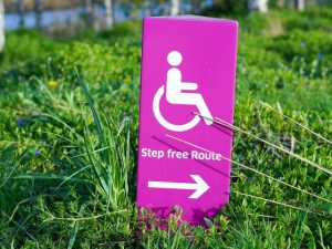 Disability action plan approved