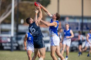 Comeback impressive but sluggish start costly for Berwick