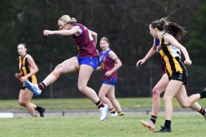 Lions let Tigers off the leash