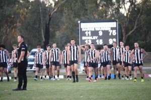 Dingoes hold off Magpies