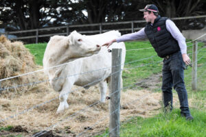 Farmers hold fast despite patchy rain relief