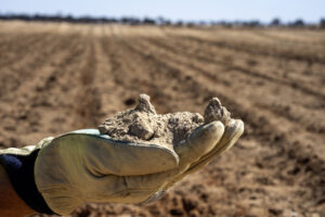 Soil needed to dig deeper into microbiome research