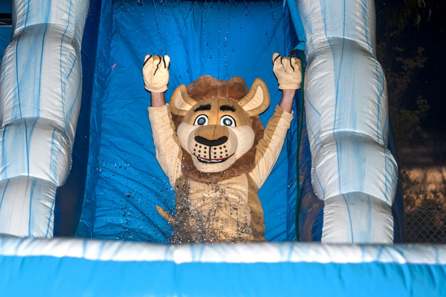 Pakenham takes the plunge
