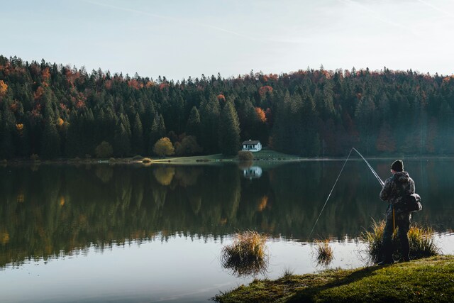 Rainbow trout galore as 35,000 planned for local lakes
