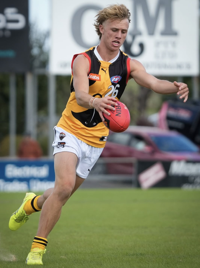 Understrength Dandenong Stingrays beaten