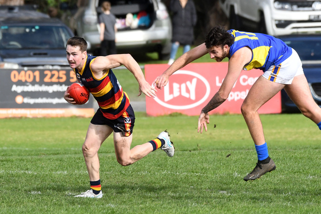 Crows make a statement