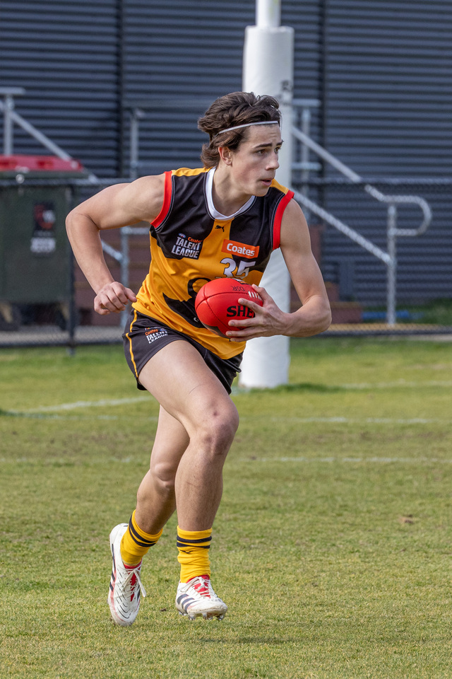 Stingrays beaten but impress