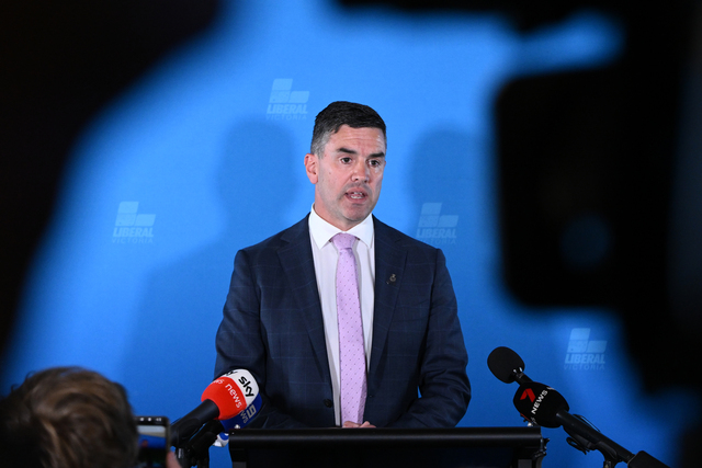 Battin critical of government response to alleged childcare sex offender