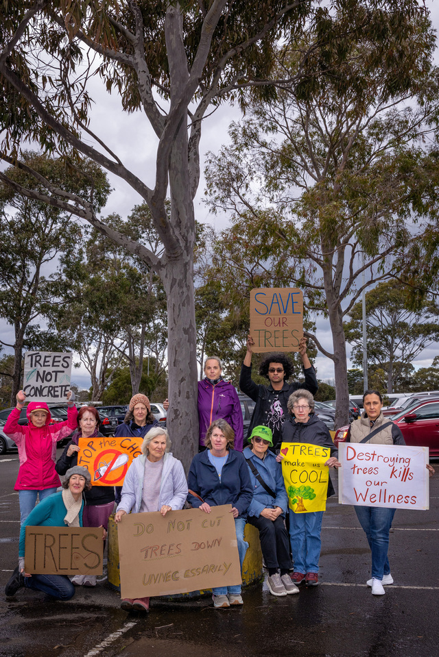 Call to save 43 Oasis trees