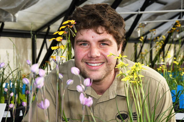 Spring in bloom at Royal Botanic Gardens Cranbourne