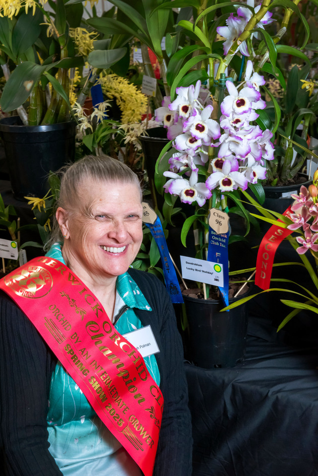 Orchids spring at Berwick show