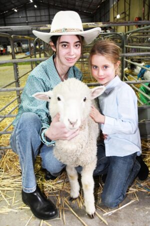 Fun-loving Show tradition warms the weekend