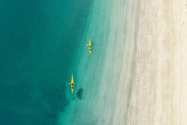 Escape to New Zealand