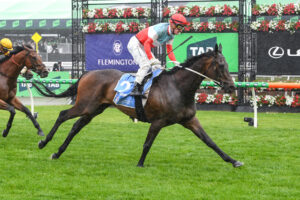 Price preaching as promising Sabaj set for higher honours