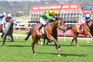 Tough as teak Taramansour