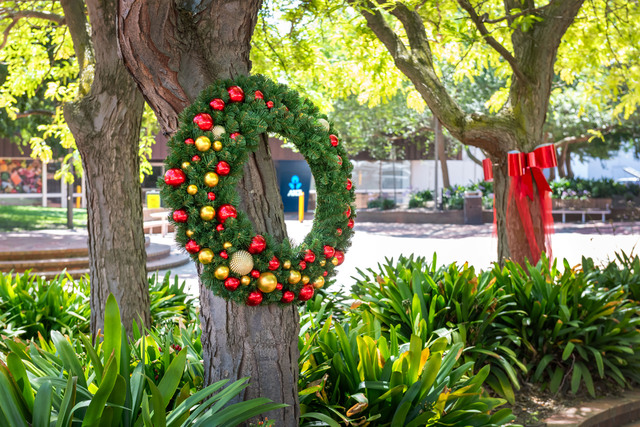 Rockin’ around the Christmas tree