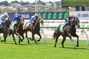 The Big Sky shows no limit