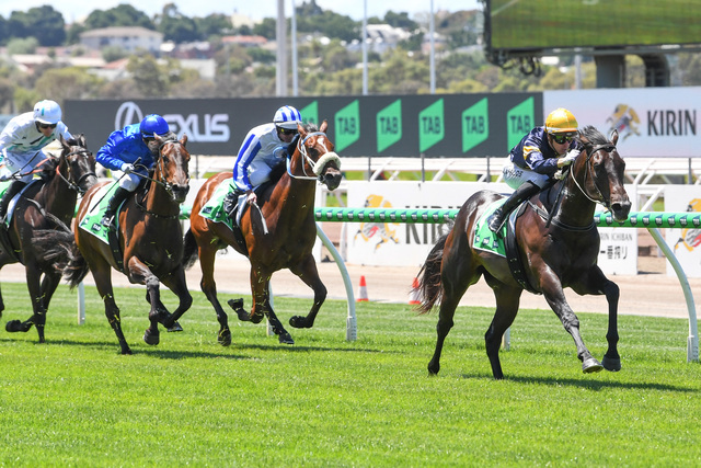 The Big Sky shows no limit