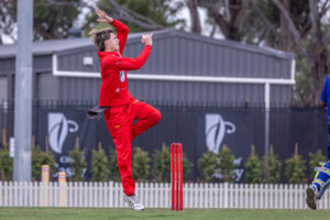 Surging Swans almost hampered by Hawks