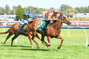 Sofie potentially something special for Moody and Coleman