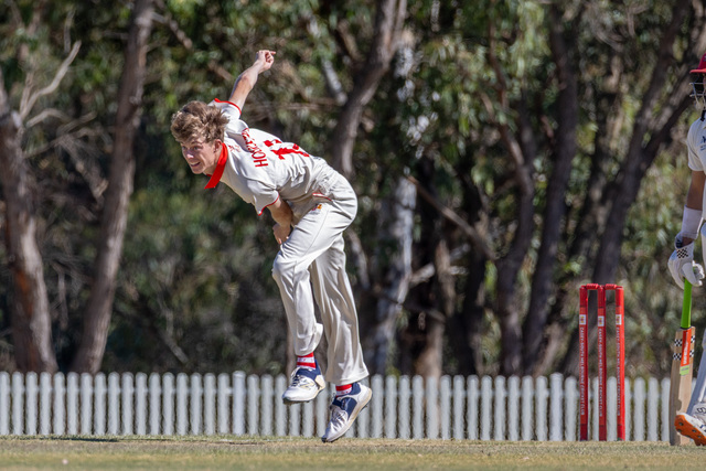 Swans in promising pose
