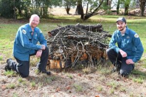 Endangered bandicoots find refuge at future Clyde park