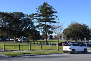 Half-Hub rescission defeated